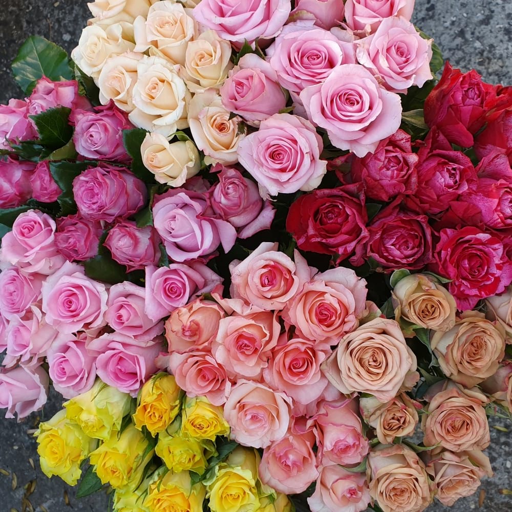 roses